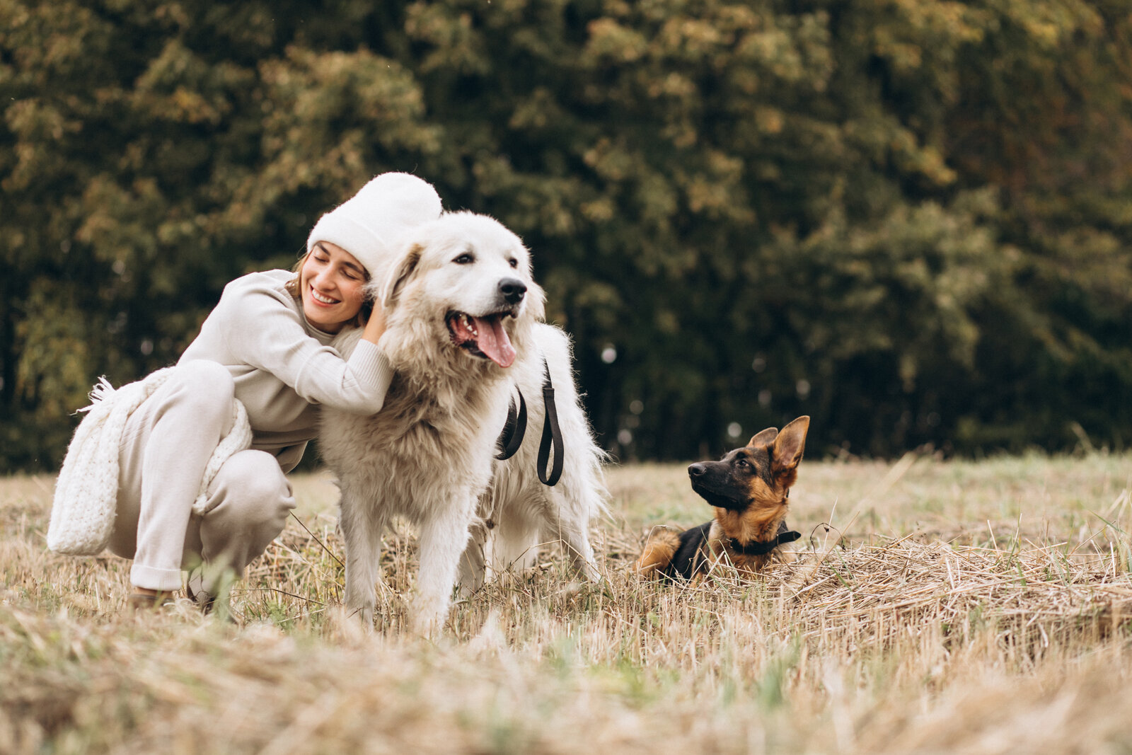 Woman walking with her dogs through a sunny field