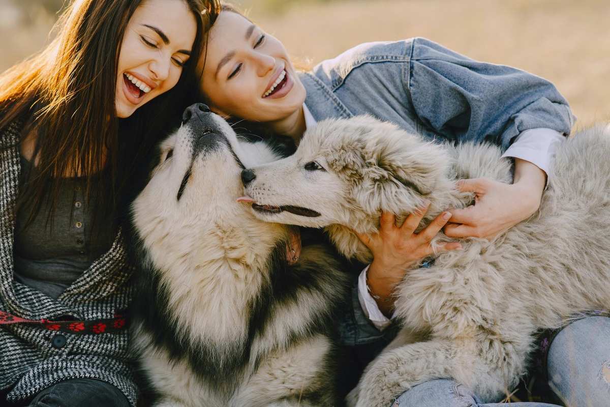 Two friends with dogs