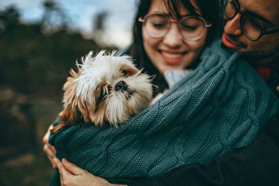 Couple tenderly holding small dog