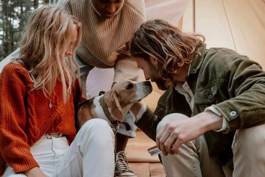 Friends with dog